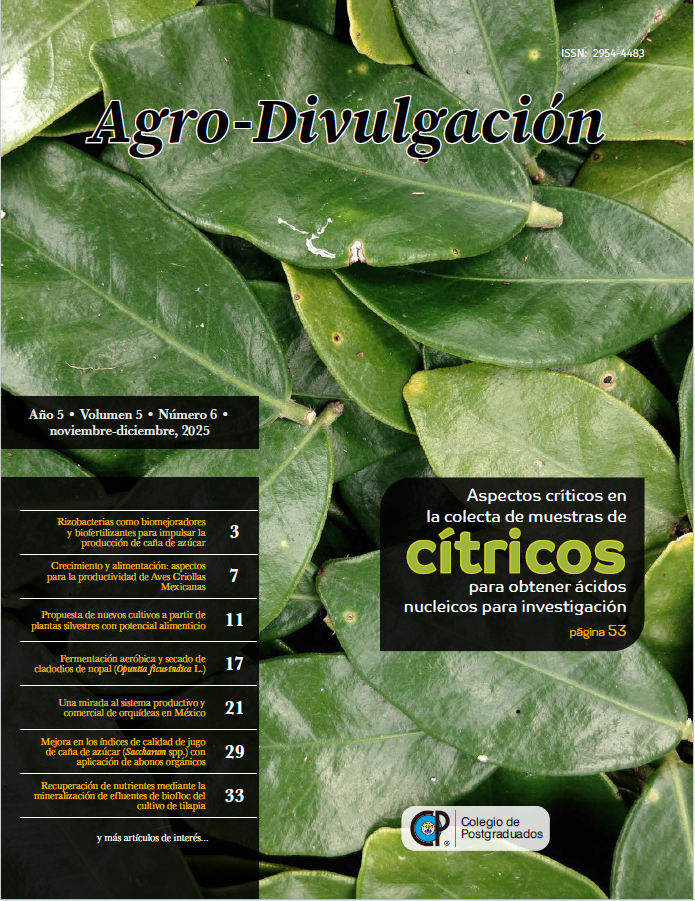 					Ver Vol. 5 Núm. 6 (2025): NOVIEMBRE-DICIEMBRE
				